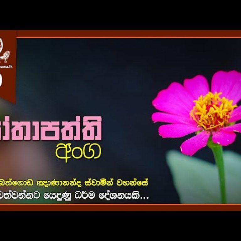 thumbnail_C_GU8Tp8oOg-SD